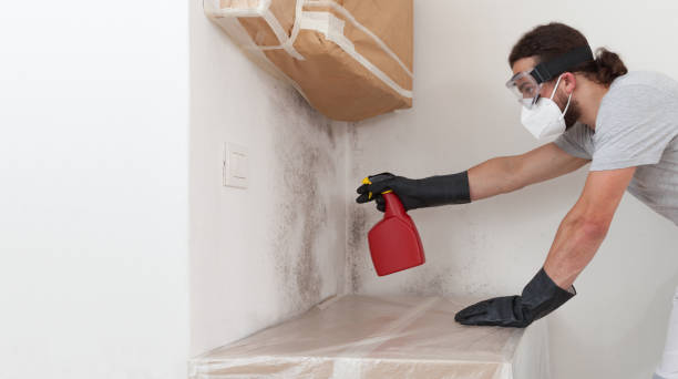 Professional Attic Mold Remediation technician working in Greenville, MI