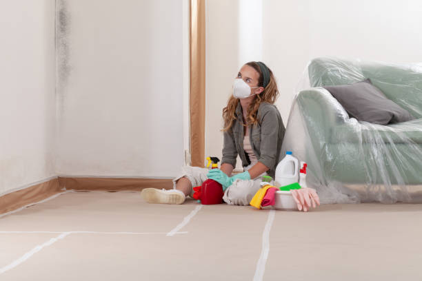 Reliable Attic Mold Remediation contractor in Greenville, MI by Mold Remediation HQ